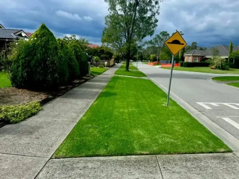 Garden maintenance by Joey's Garden Care