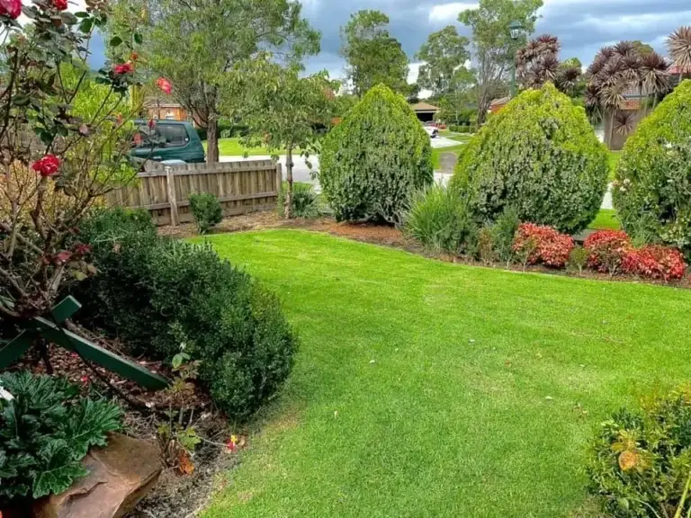 Garden maintenance by Joey's Garden Care