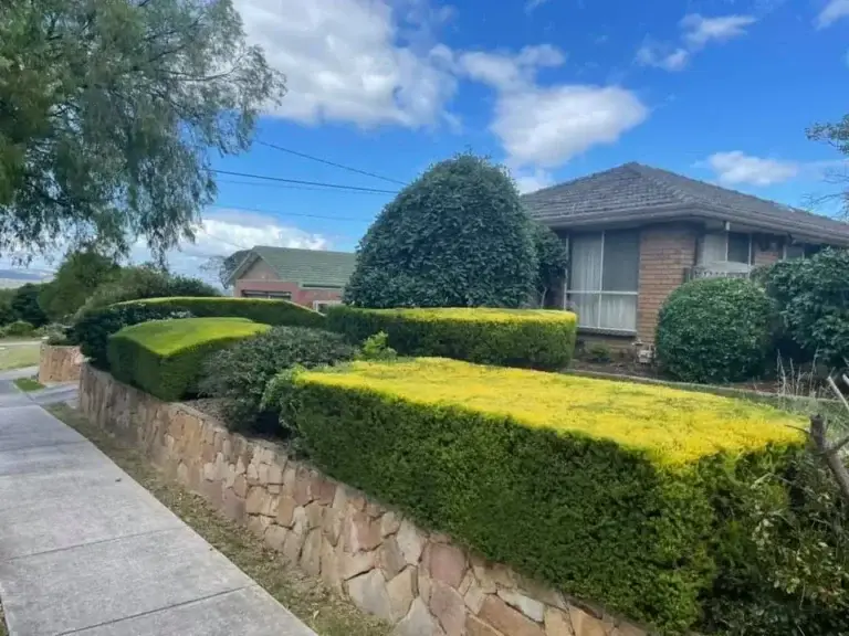 Garden maintenance by Joey's Garden Care