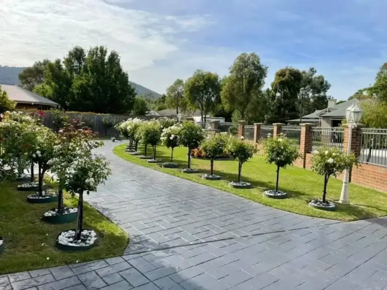 Garden maintenance by Joey's Garden Care