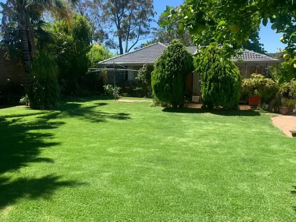 Garden maintenance by Joey's Garden Care